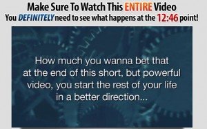 Travis Stephenson - Website Automation Wizard