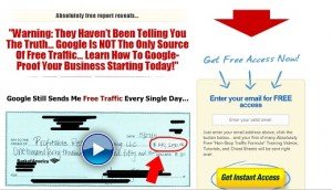 Jeff Johnson - Non Stop Traffic Formula Google Proof