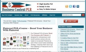 Sharyn Sheldon - Pinterest PLR eCourse