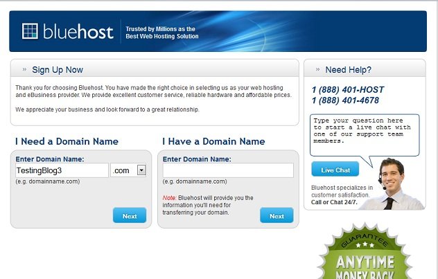 Bluehost - Domain Page