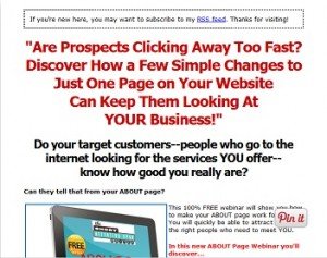 Anita Hampl - About Page Webinar