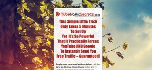 Tube Traffic Secrets - Trick to Get Free Traffic