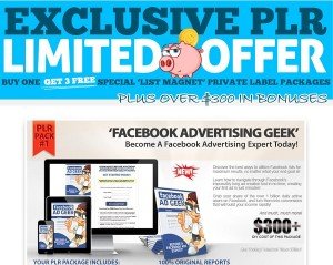 Simon & Jeremy - 4 PLR Packages