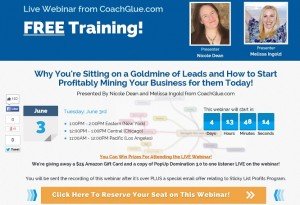 Profitably Mine Your Business