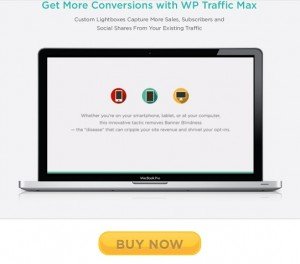 WP Traffic Max