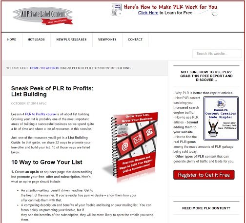 Sneak Peek into PLR to Profits: List Building - Workism